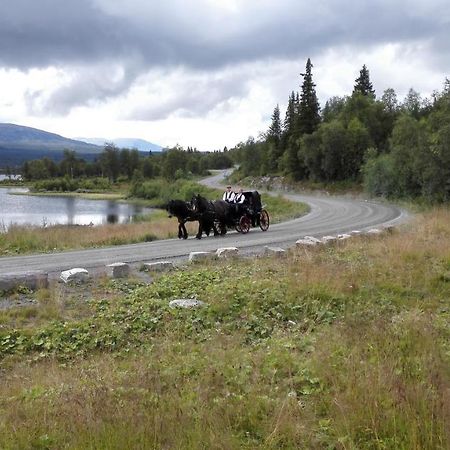 Bergfosshytta 1 Sor Lejlighed Ron Eksteriør billede